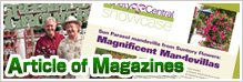 Senetti Topics